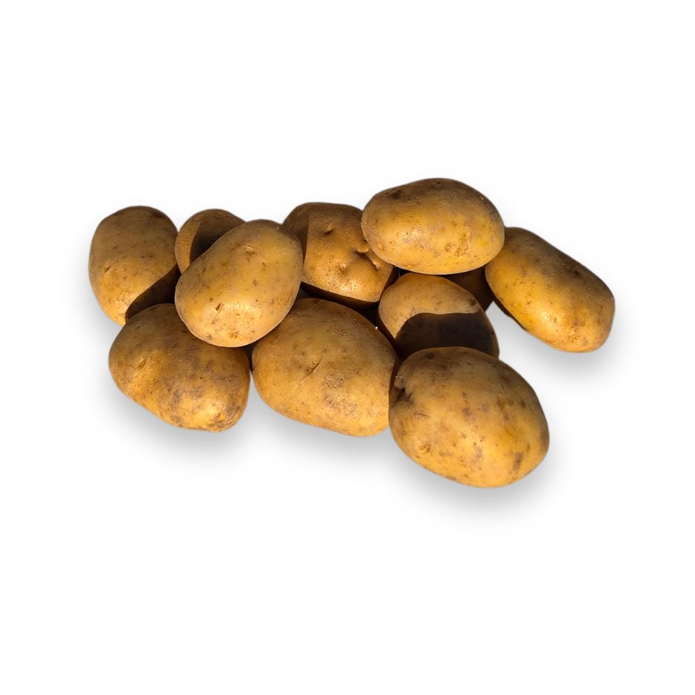 Agria DIK Frietaardappelen - 10kg