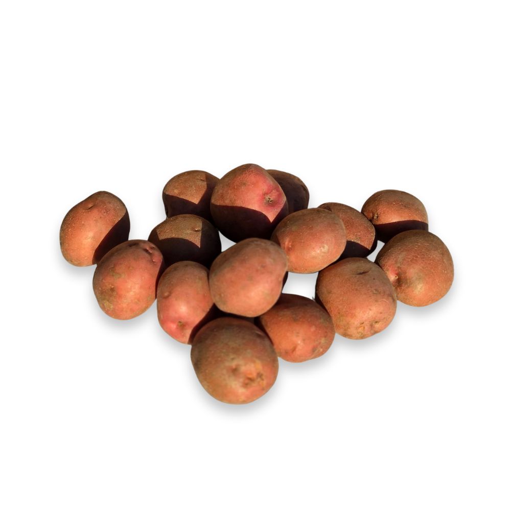 Bildtstar DIK - 10 kg - redelijk vastkokend