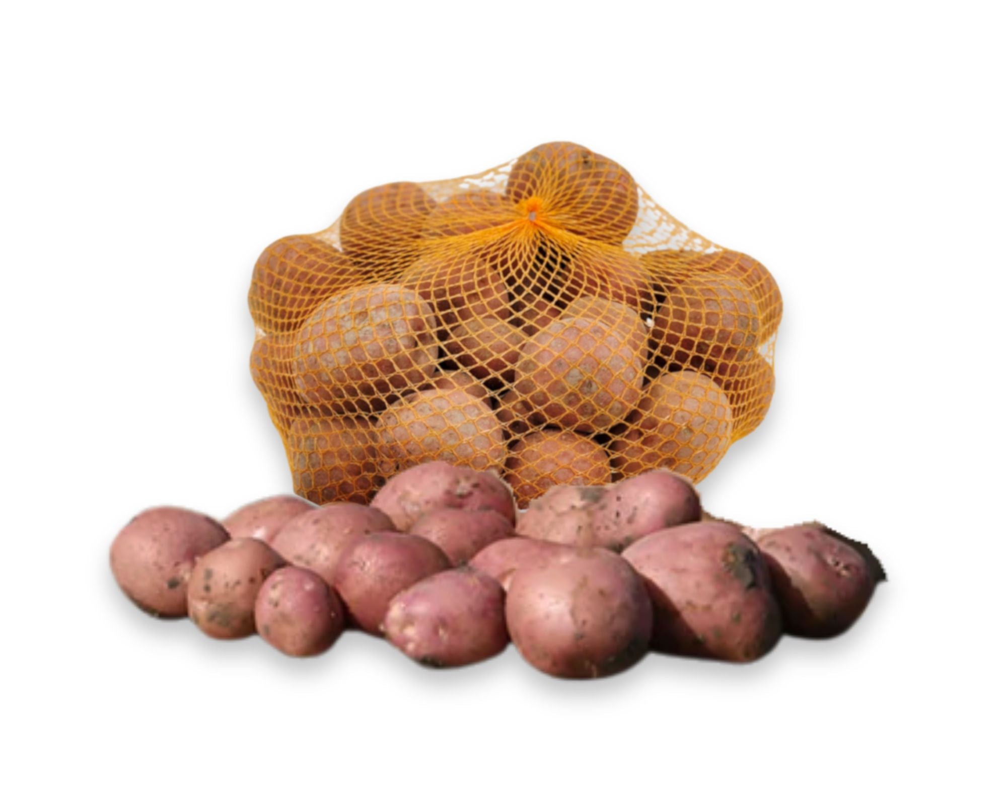 Bildtstar 2 X 5 kg - redelijk vastkokend