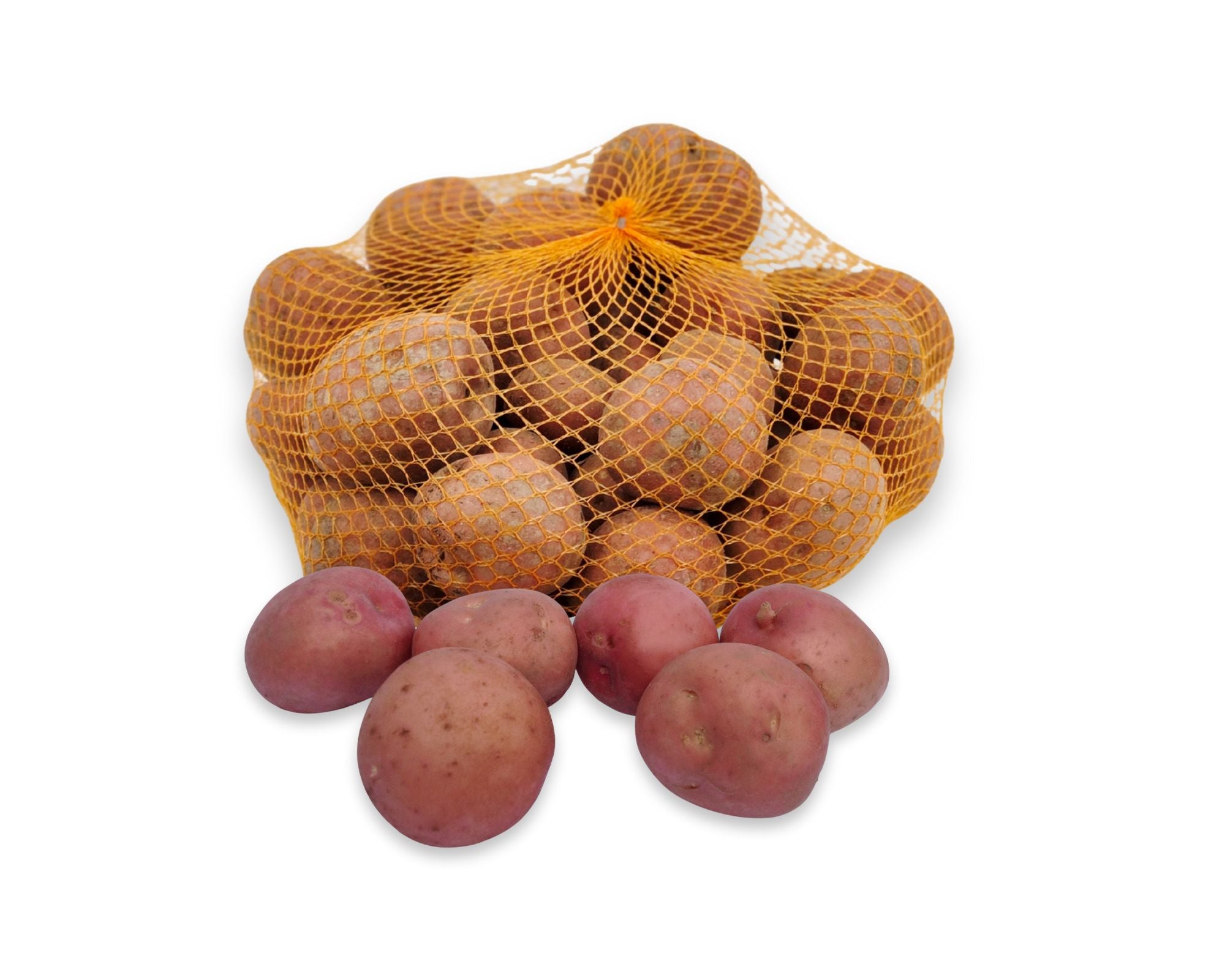 Bildtstar - 5 kg - redelijk vastkokend