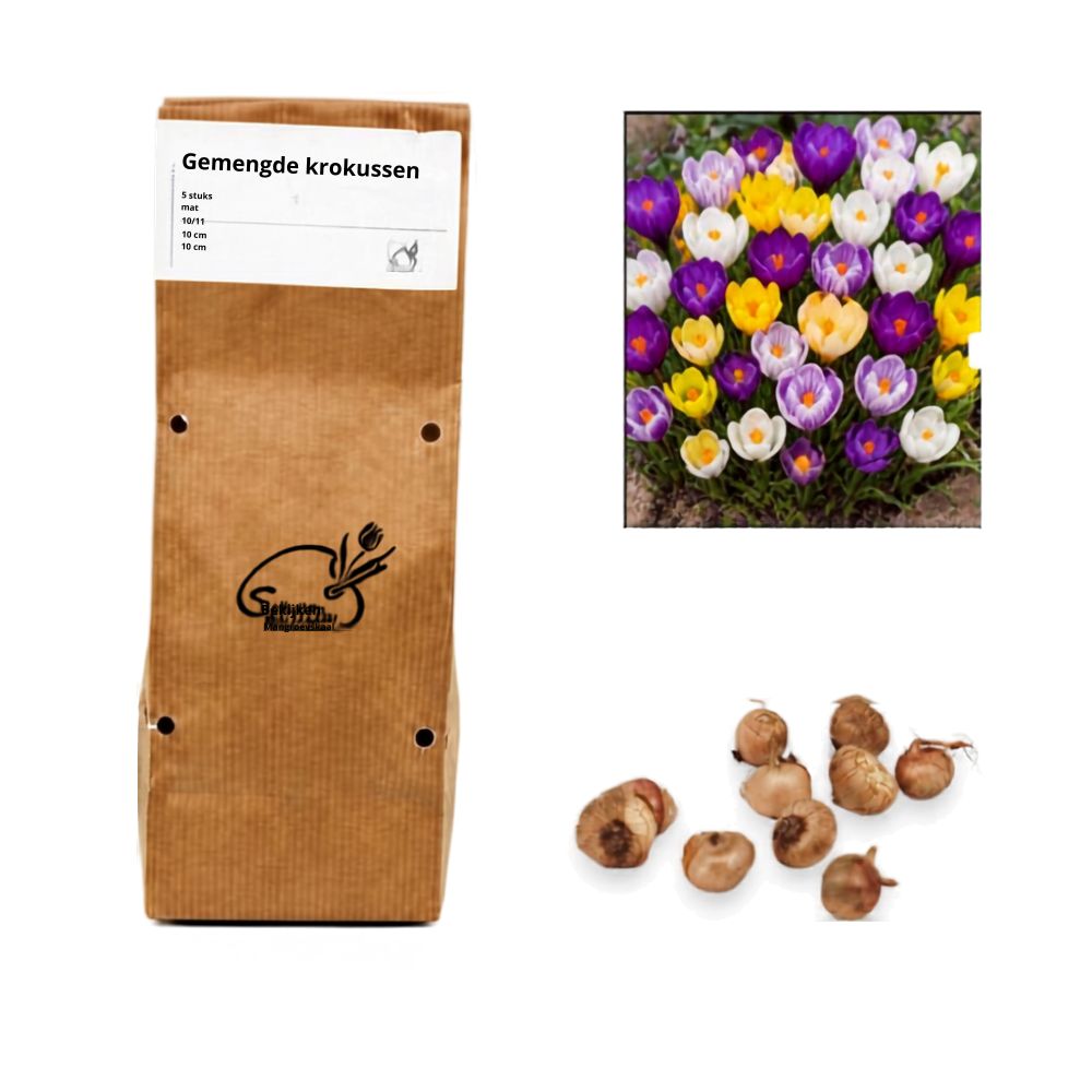 Crocus - Gemengd (20 bollen)