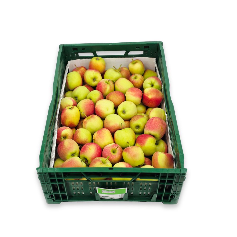 Delcorf appel NIEUWE OOGST - ca. 1 kg.