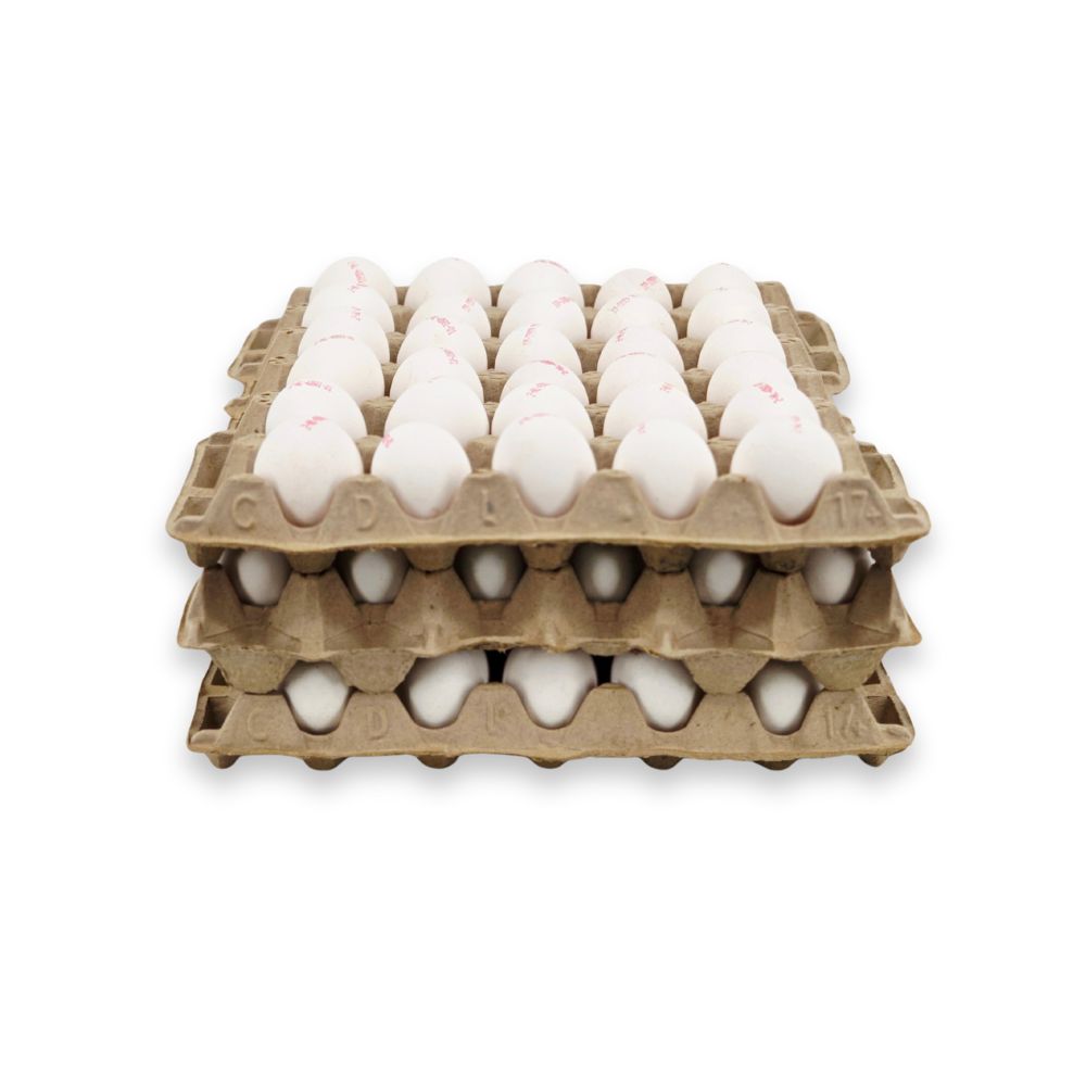 Eieren - 90 stuks