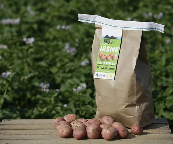Irene - 2.5 kg - extra kruimig