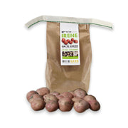 Irene - 2.5 kg - extra kruimig