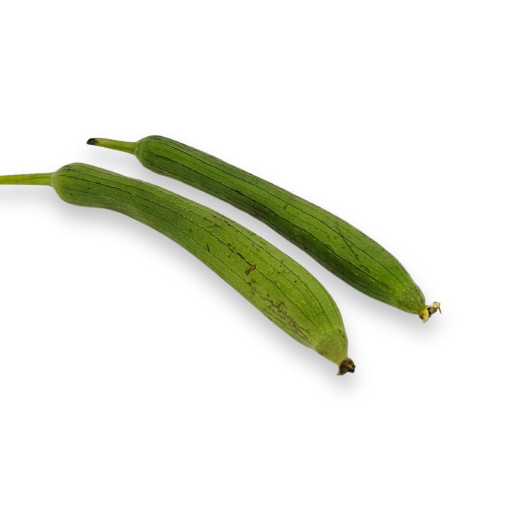 Luffa - 1 stuks