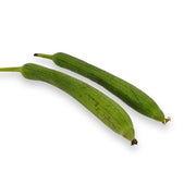Luffa - 1 stuks