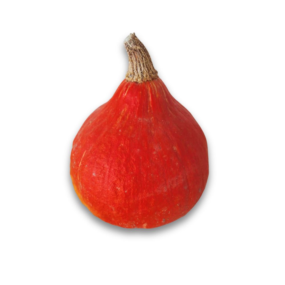 Pompoen