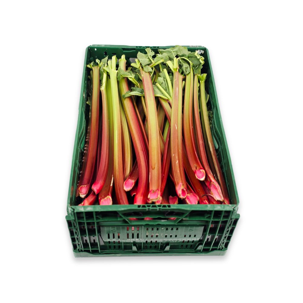Rabarber - ca. 1 kg