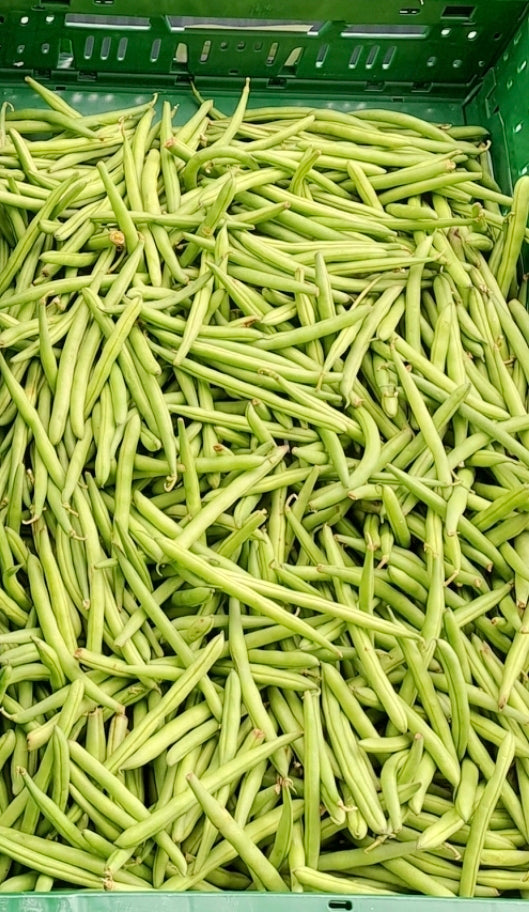Hollandse Sperziebonen - 500 gram.