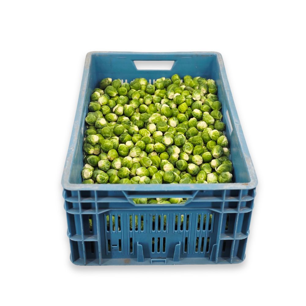 Spruiten - 750 gram