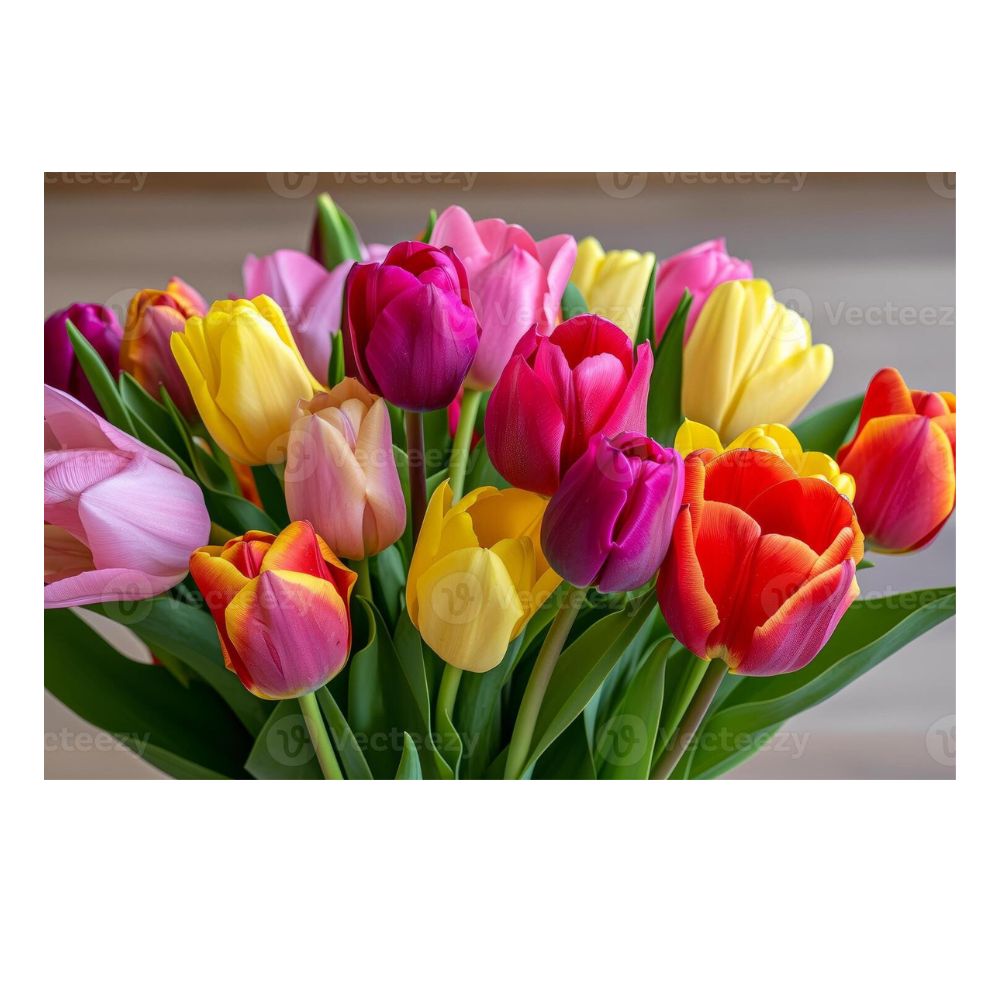 Tulipa - Gemengd (40 bollen)