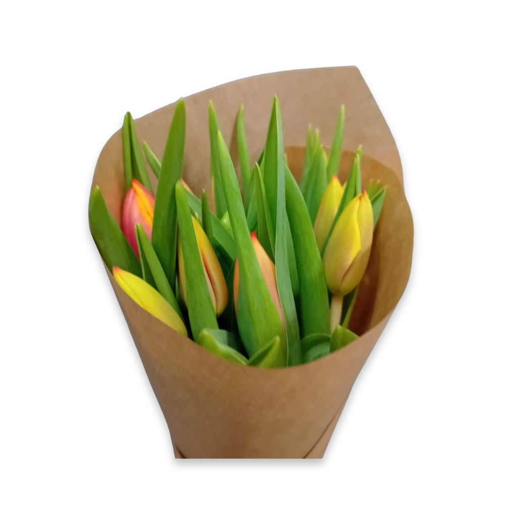 Tulpen Rood-Geel  - 1 bos