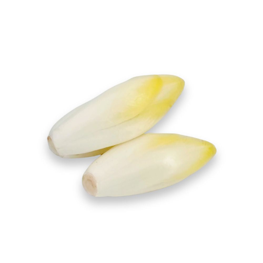 Witlof - ca. 500 gram