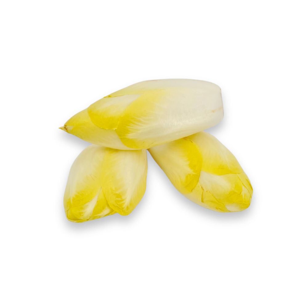 Witlof 3 stuks - ca. 500 gram