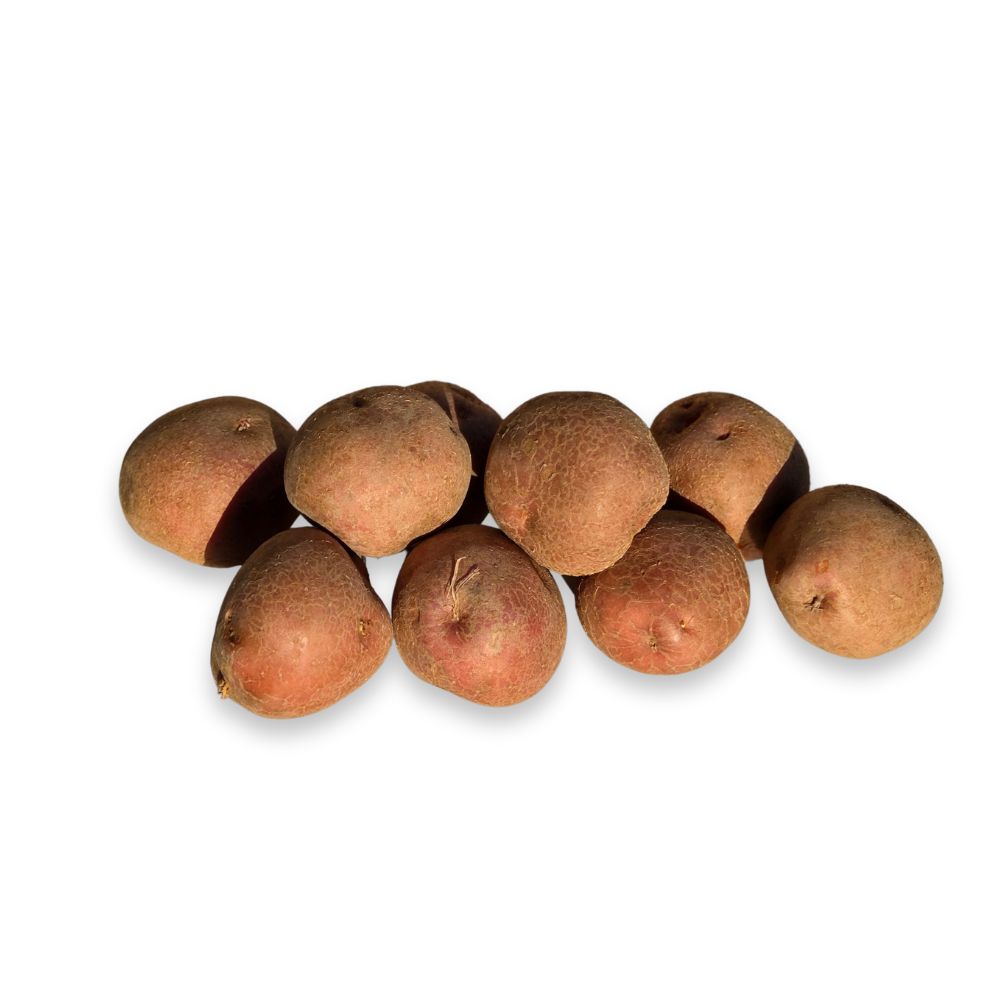 Irene - 5 kg - extra kruimig