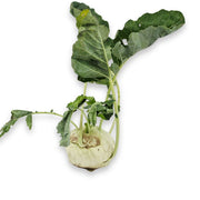 Koolrabi