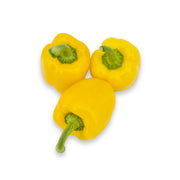 Paprika geel -  1 stuks
