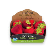 Polderkoninkjes - Aardbeien - 400 gram