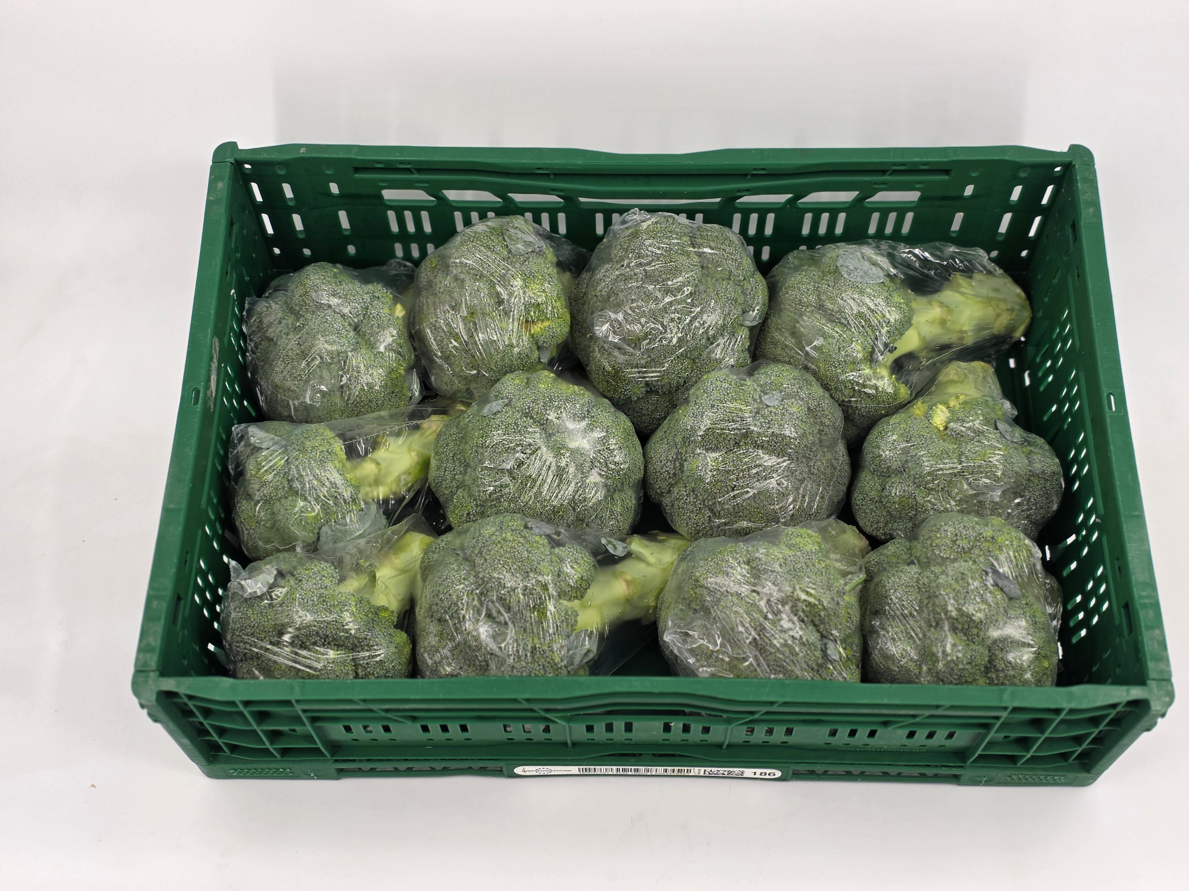 Broccoli - 500 gram.