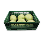 Witte Kool - ca 18 kg B2B